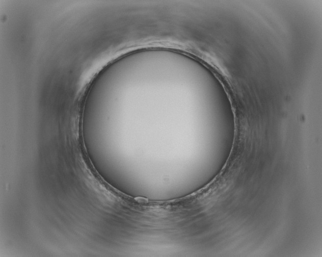 X0000088611504200706081421