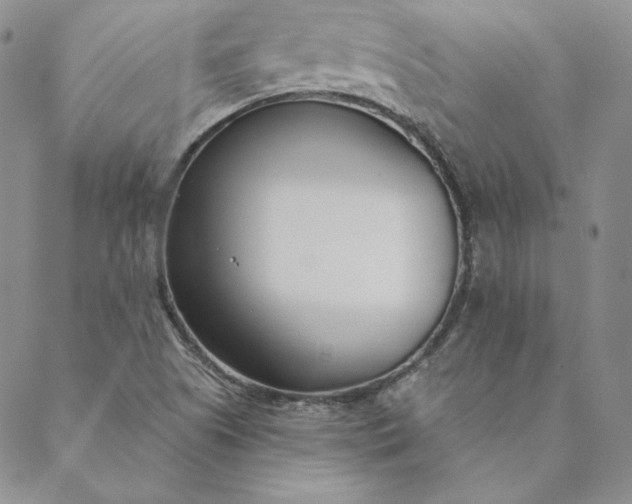 X0000088611505200706081421