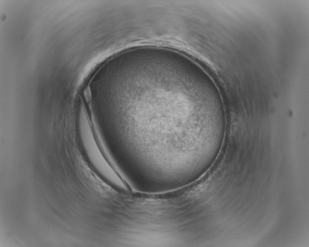 X0000088611506200706081421