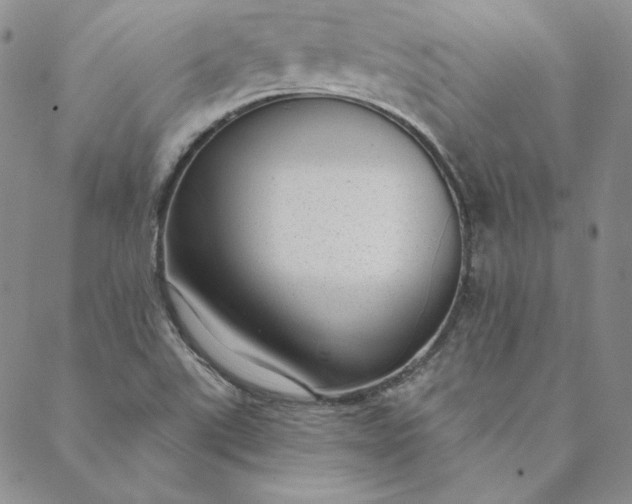 X0000088611507200706081421