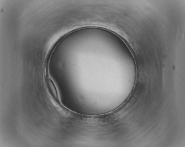 X0000088611511200706081421