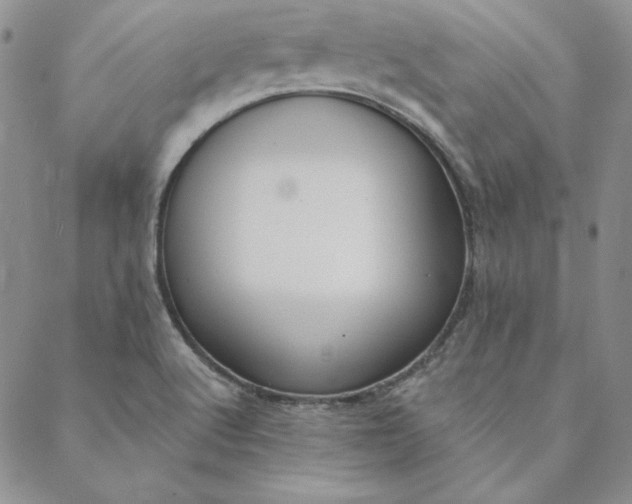 X0000088611512200706081421