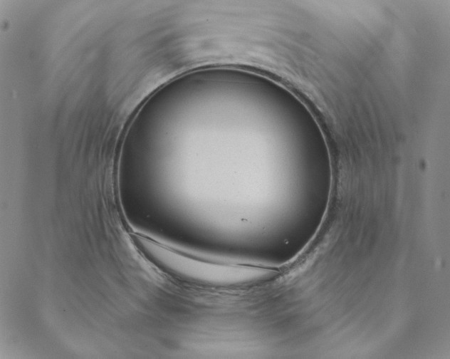 X0000088611513200706081421