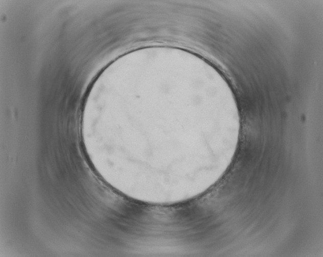 X0000088611514200706081421