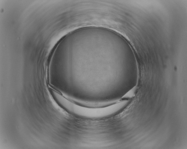 X0000088611515200706081421