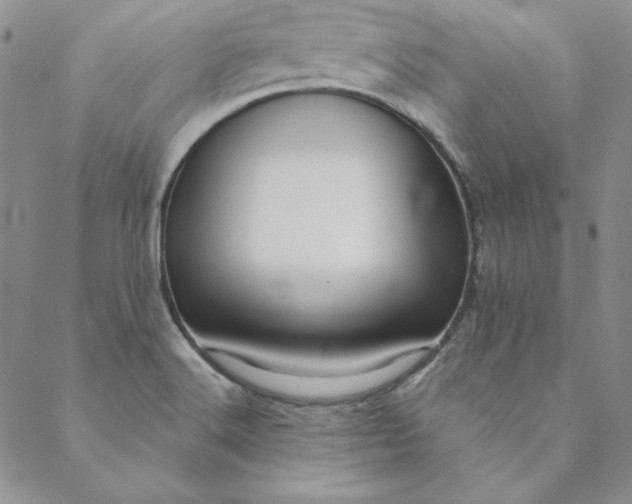 X0000088611516200706081421