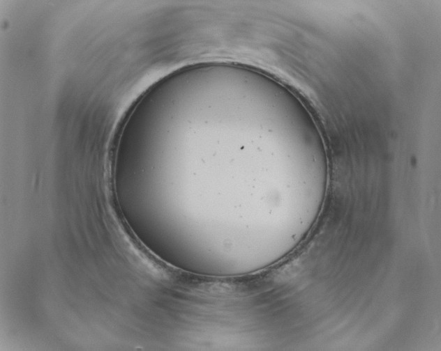 X0000088611517200706081421