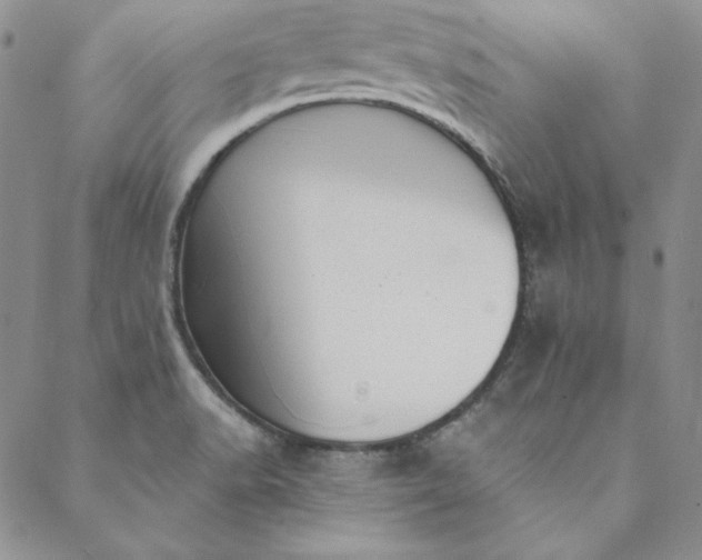 X0000088611518200706081421