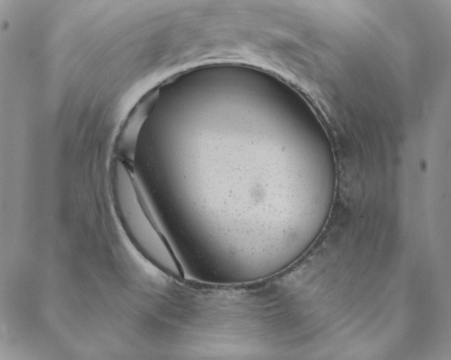 X0000088611519200706081421