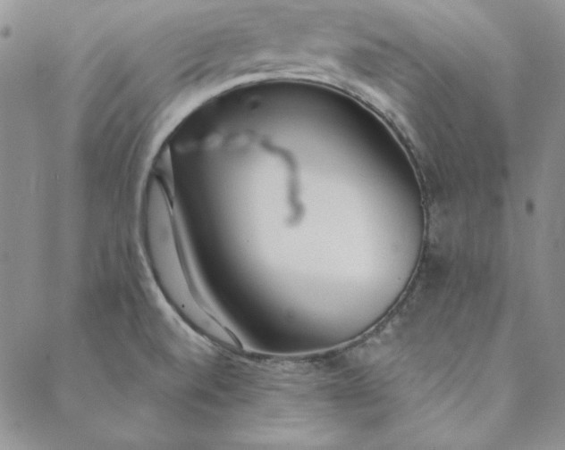 X0000088611520200706081421