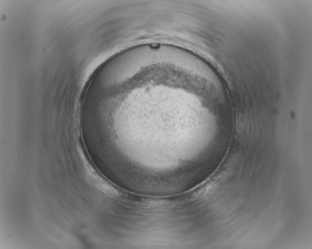 X0000088611522200706081421