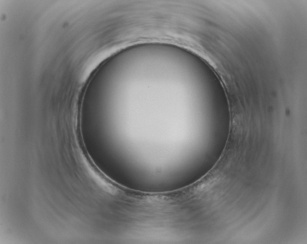 X0000088611523200706081421