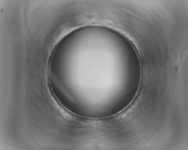 X0000088611525200706081421