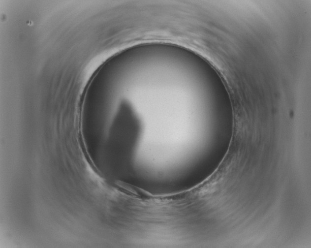 X0000088611527200706081421