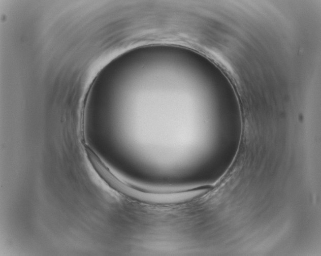 X0000088611528200706081421