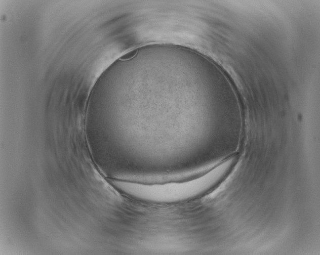 X0000088611529200706081421