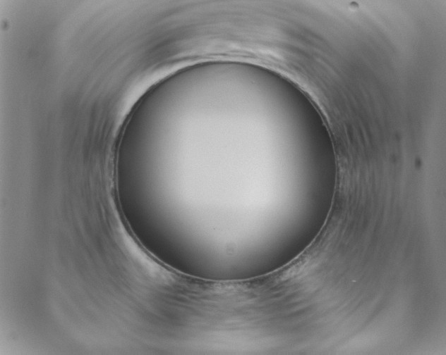 X0000088611531200706081421