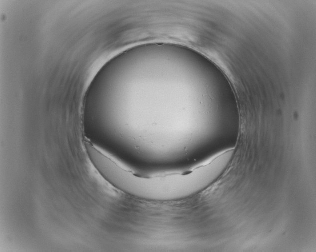 X0000088611532200706081422