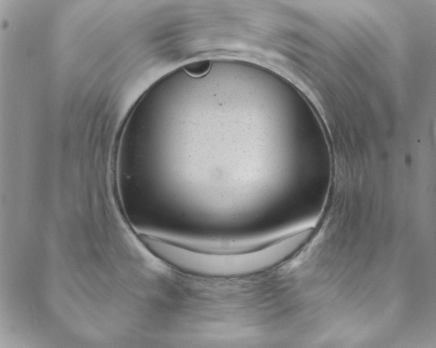 X0000088611533200706081422