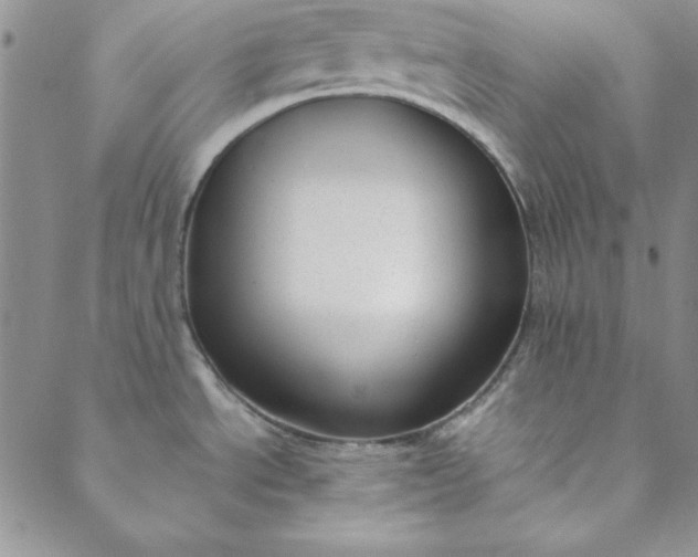 X0000088611534200706081422