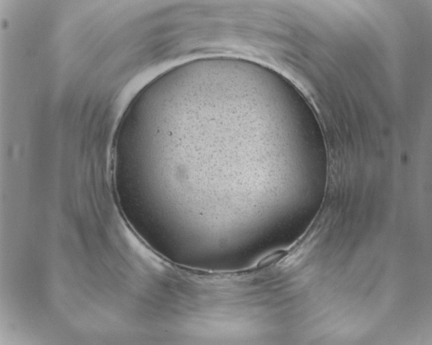 X0000088611535200706081422