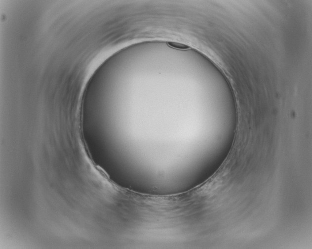 X0000088611536200706081422