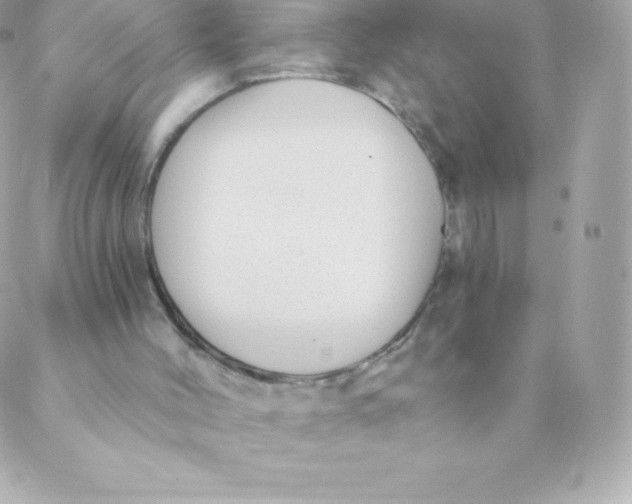 X0000088610004200706151839