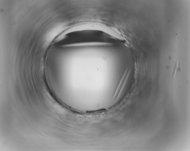 X0000088610005200706151839