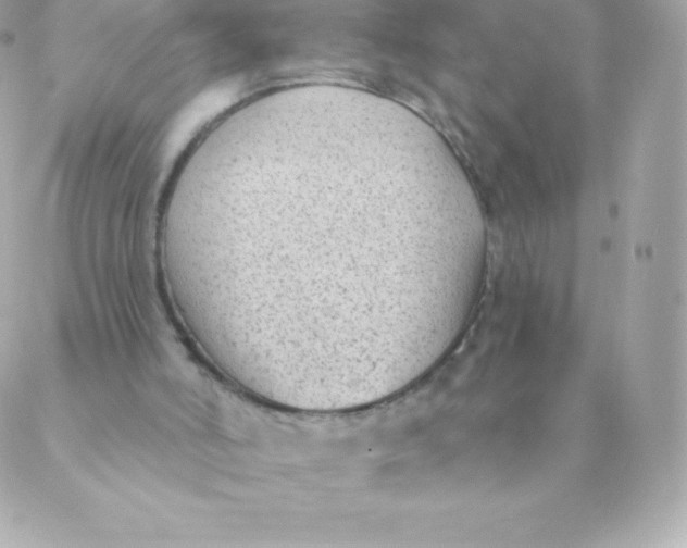 X0000088610006200706151839