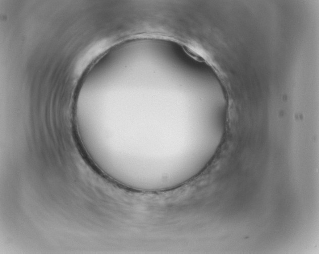 X0000088610007200706151839