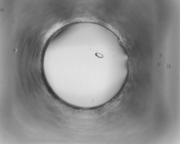 X0000088610008200706151838