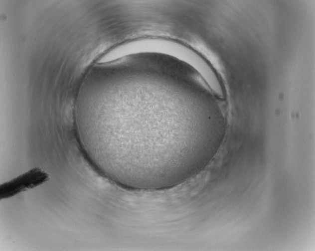 X0000088610009200706151838