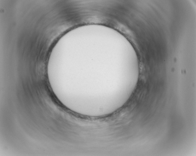 X0000088610012200706151838