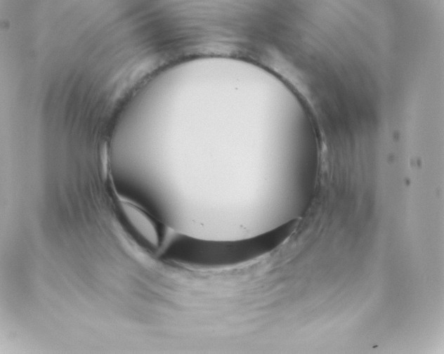 X0000088610013200706151838