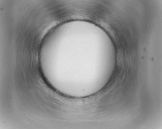 X0000088610015200706151838