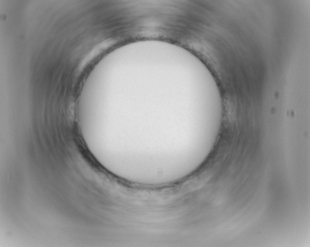 X0000088610016200706151838