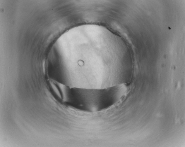 X0000088610019200706151838