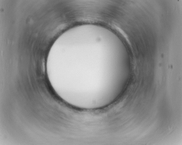 X0000088610020200706151838