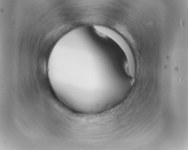 X0000088610021200706151838