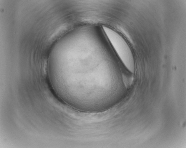 X0000088610023200706151838