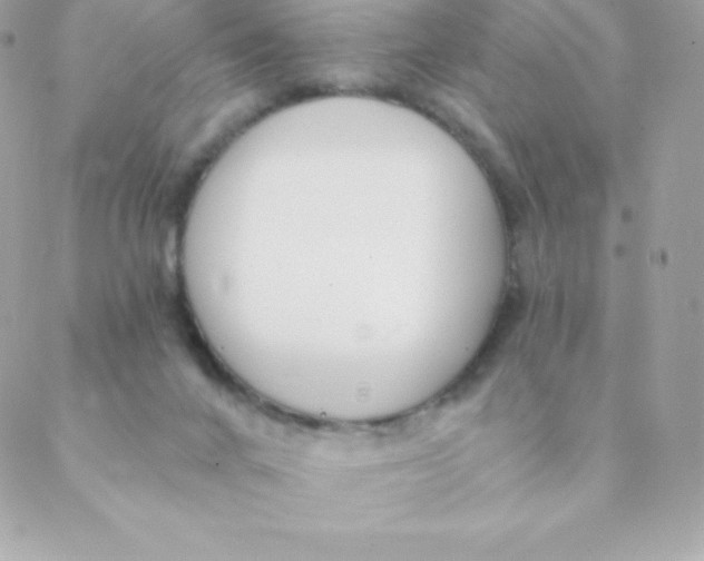 X0000088610024200706151838