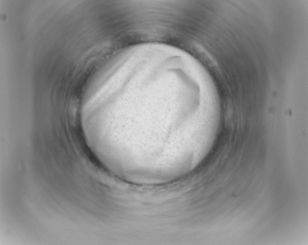 X0000088610026200706151838