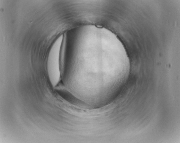 X0000088610027200706151838