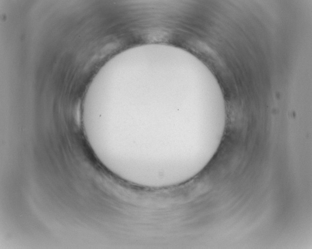 X0000088610028200706151838