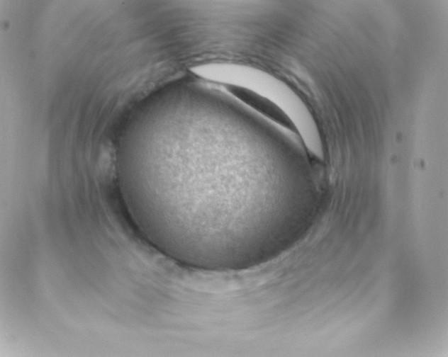 X0000088610029200706151838