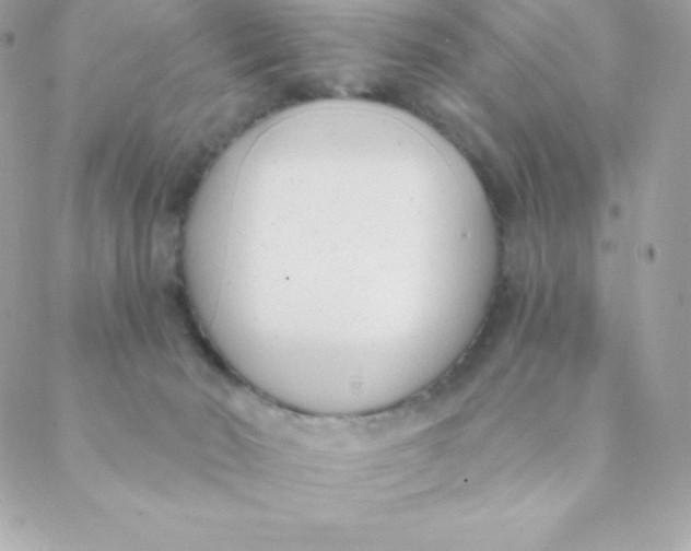 X0000088610030200706151838