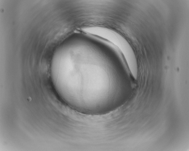 X0000088610031200706151838