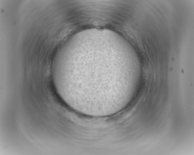 X0000088610032200706151838