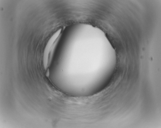 X0000088610033200706151838