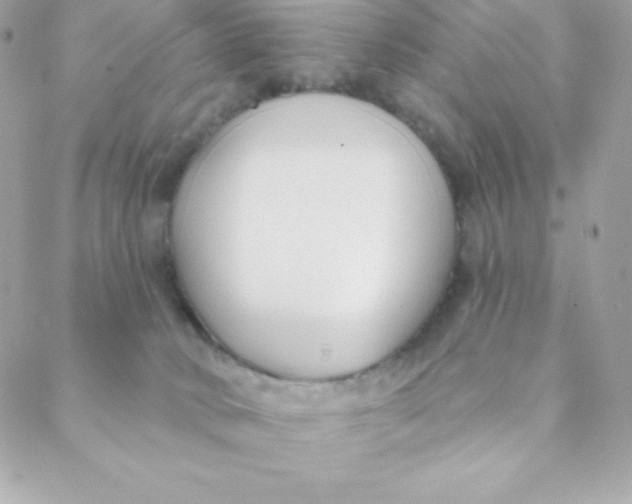 X0000088610034200706151838